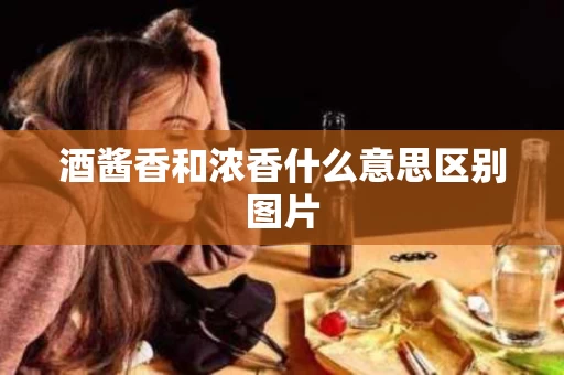 酒酱香和浓香什么意思区别图片