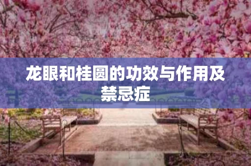 龙眼和桂圆的功效与作用及禁忌症