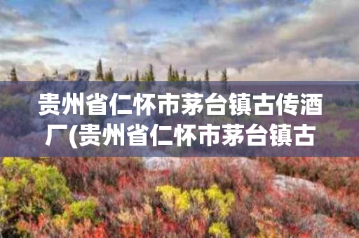 贵州省仁怀市茅台镇古传酒厂(贵州省仁怀市茅台镇古传酒厂电话)