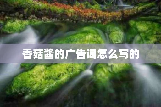 香菇酱的广告词怎么写的