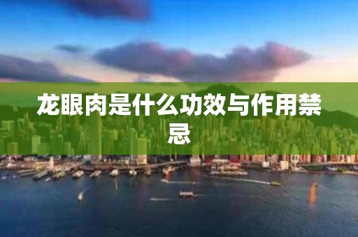 龙眼肉是什么功效与作用禁忌