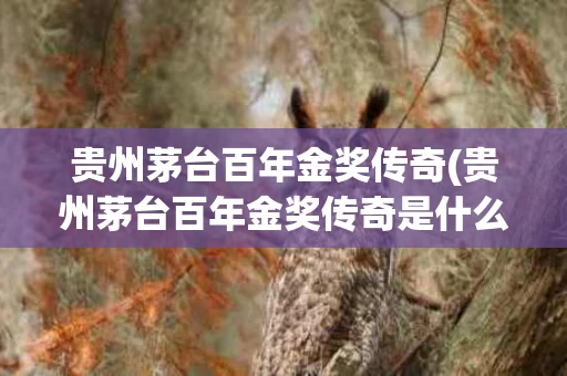 贵州茅台百年金奖传奇(贵州茅台百年金奖传奇是什么)
