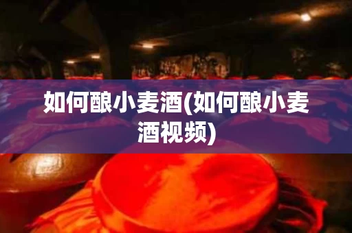 如何酿小麦酒(如何酿小麦酒视频)