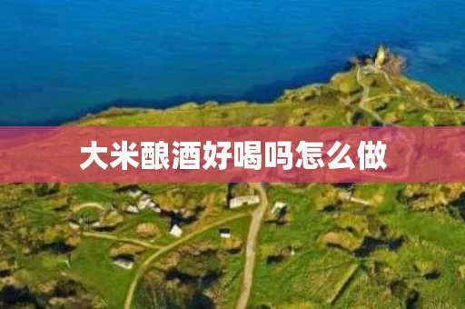 大米酿酒好喝吗怎么做