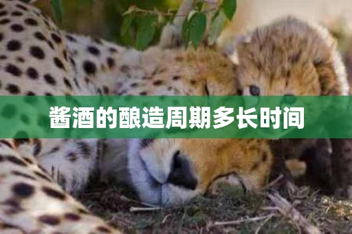 酱酒的酿造周期多长时间