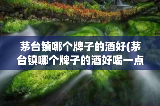 茅台镇哪个牌子的酒好(茅台镇哪个牌子的酒好喝一点)