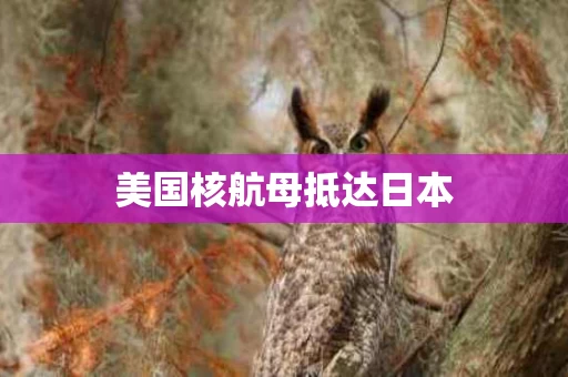 美国核航母抵达日本