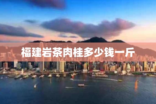 福建岩茶肉桂多少钱一斤