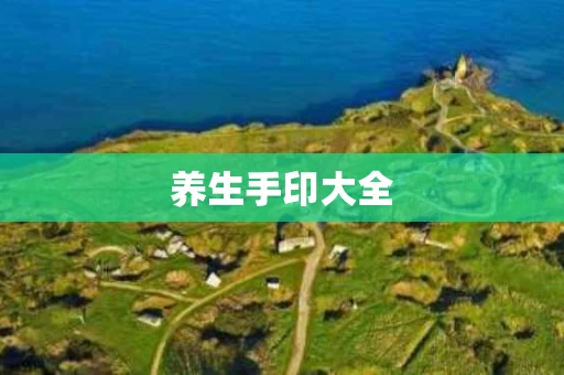 养生手印大全