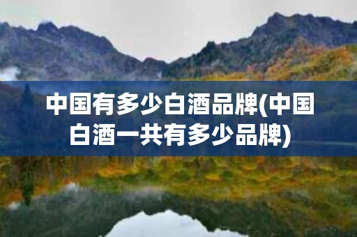 中国有多少白酒品牌(中国白酒一共有多少品牌)