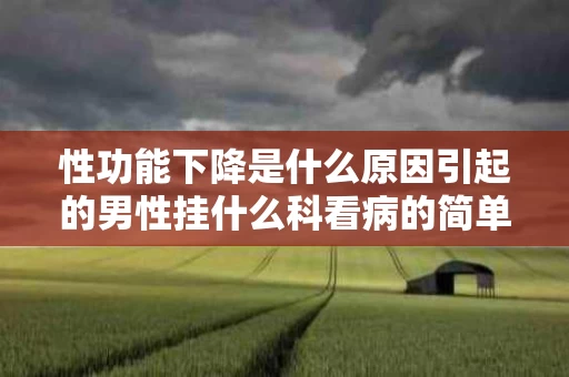 性功能下降是什么原因引起的男性挂什么科看病的简单介绍