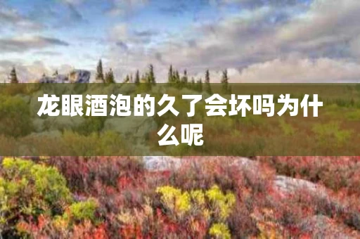 龙眼酒泡的久了会坏吗为什么呢