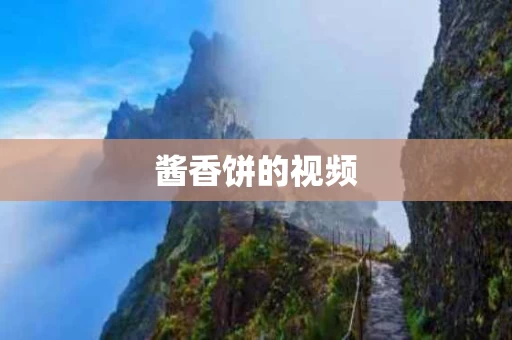酱香饼的视频