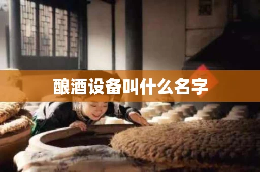 酿酒设备叫什么名字