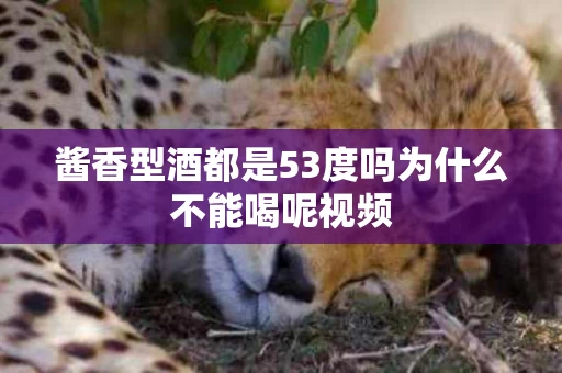 酱香型酒都是53度吗为什么不能喝呢视频