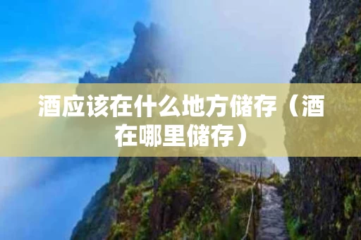 酒应该在什么地方储存（酒在哪里储存）