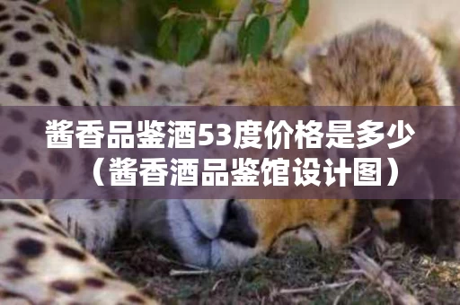 酱香品鉴酒53度价格是多少（酱香酒品鉴馆设计图）