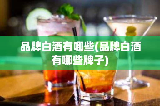 品牌白酒有哪些(品牌白酒有哪些牌子)