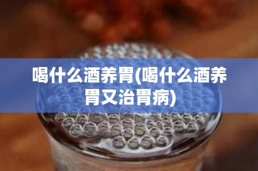 喝什么酒养胃(喝什么酒养胃又治胃病)