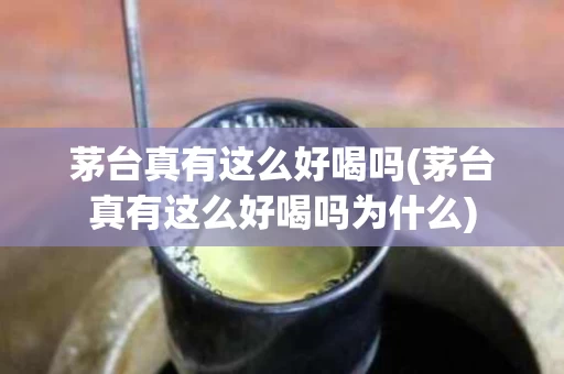 茅台真有这么好喝吗(茅台真有这么好喝吗为什么)
