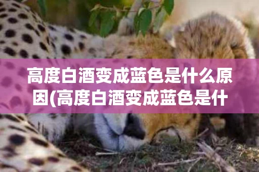 高度白酒变成蓝色是什么原因(高度白酒变成蓝色是什么原因呢)