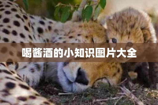 喝酱酒的小知识图片大全
