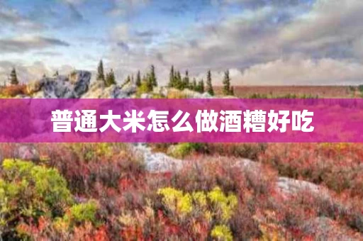 普通大米怎么做酒糟好吃