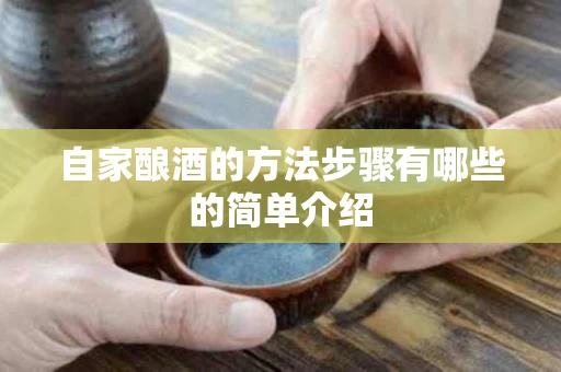 自家酿酒的方法步骤有哪些的简单介绍