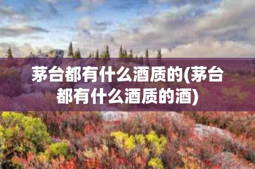 茅台都有什么酒质的(茅台都有什么酒质的酒)