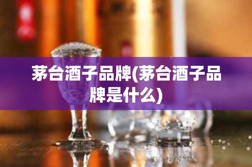 茅台酒子品牌(茅台酒子品牌是什么)