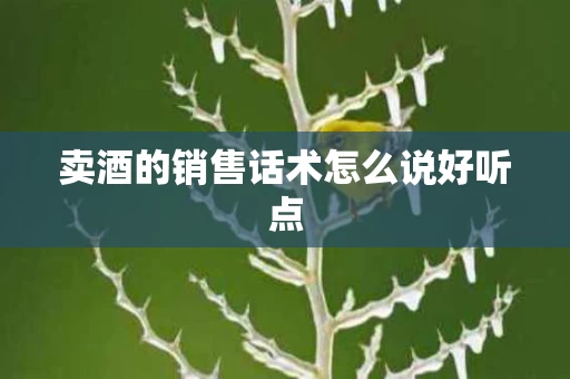 卖酒的销售话术怎么说好听点