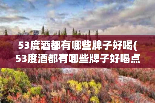 53度酒都有哪些牌子好喝(53度酒都有哪些牌子好喝点)