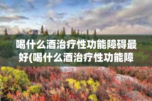喝什么酒治疗性功能障碍最好(喝什么酒治疗性功能障碍最好呢)