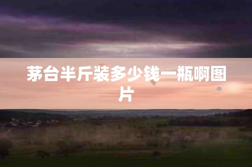茅台半斤装多少钱一瓶啊图片