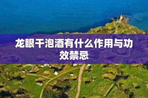 龙眼干泡酒有什么作用与功效禁忌