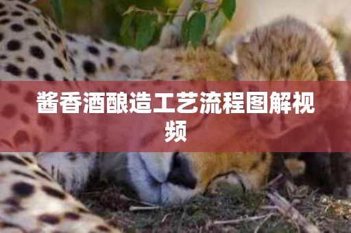 酱香酒酿造工艺流程图解视频