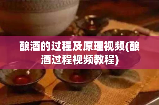 酿酒的过程及原理视频(酿酒过程视频教程)