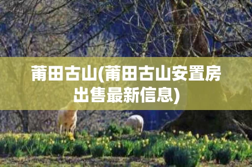 莆田古山(莆田古山安置房出售最新信息)