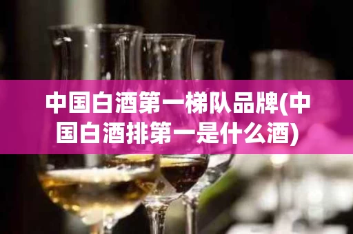 中国白酒第一梯队品牌(中国白酒排第一是什么酒)