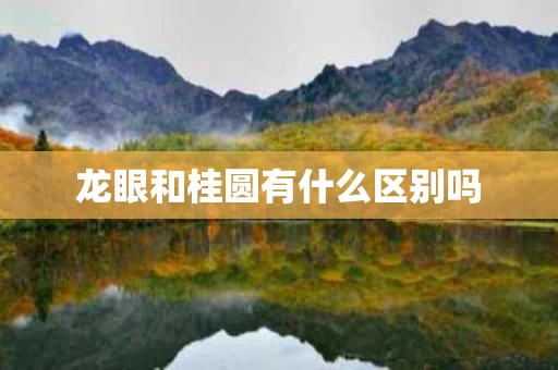 龙眼和桂圆有什么区别吗