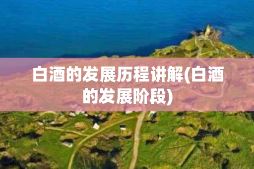 白酒的发展历程讲解(白酒的发展阶段)