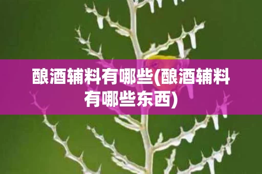 酿酒辅料有哪些(酿酒辅料有哪些东西)