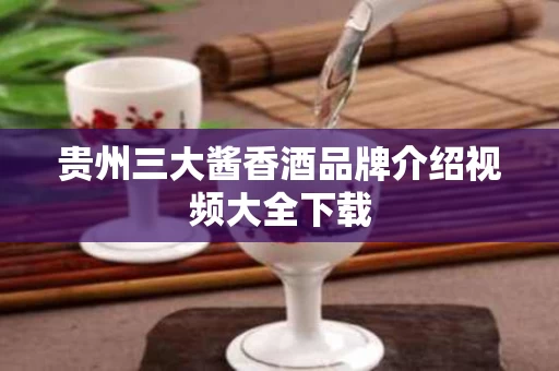 贵州三大酱香酒品牌介绍视频大全下载