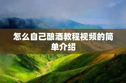 怎么自己酿酒教程视频的简单介绍