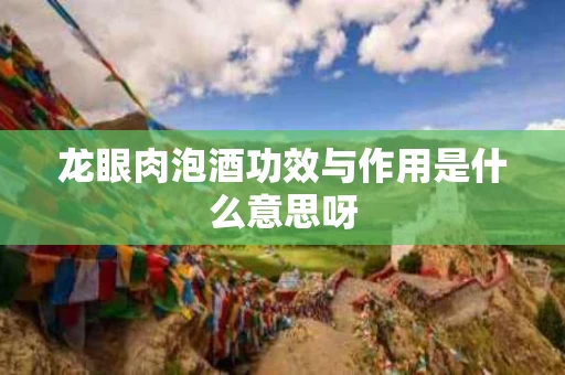 龙眼肉泡酒功效与作用是什么意思呀