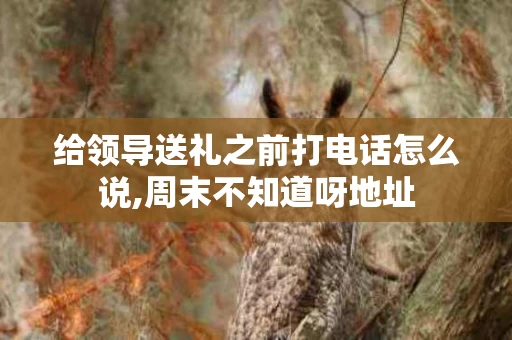 给领导送礼之前打电话怎么说,周末不知道呀地址