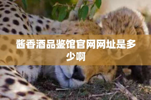 酱香酒品鉴馆官网网址是多少啊