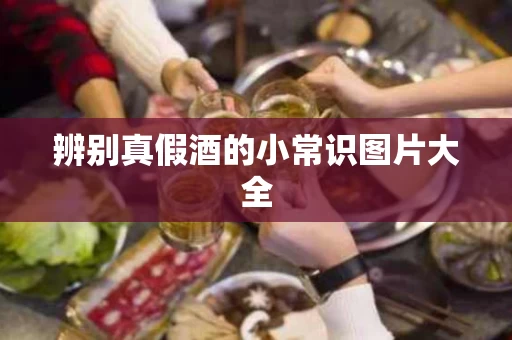 辨别真假酒的小常识图片大全