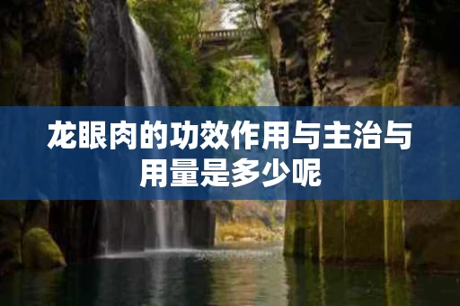龙眼肉的功效作用与主治与用量是多少呢