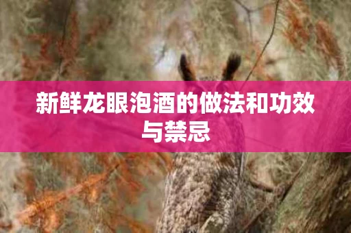 新鲜龙眼泡酒的做法和功效与禁忌
